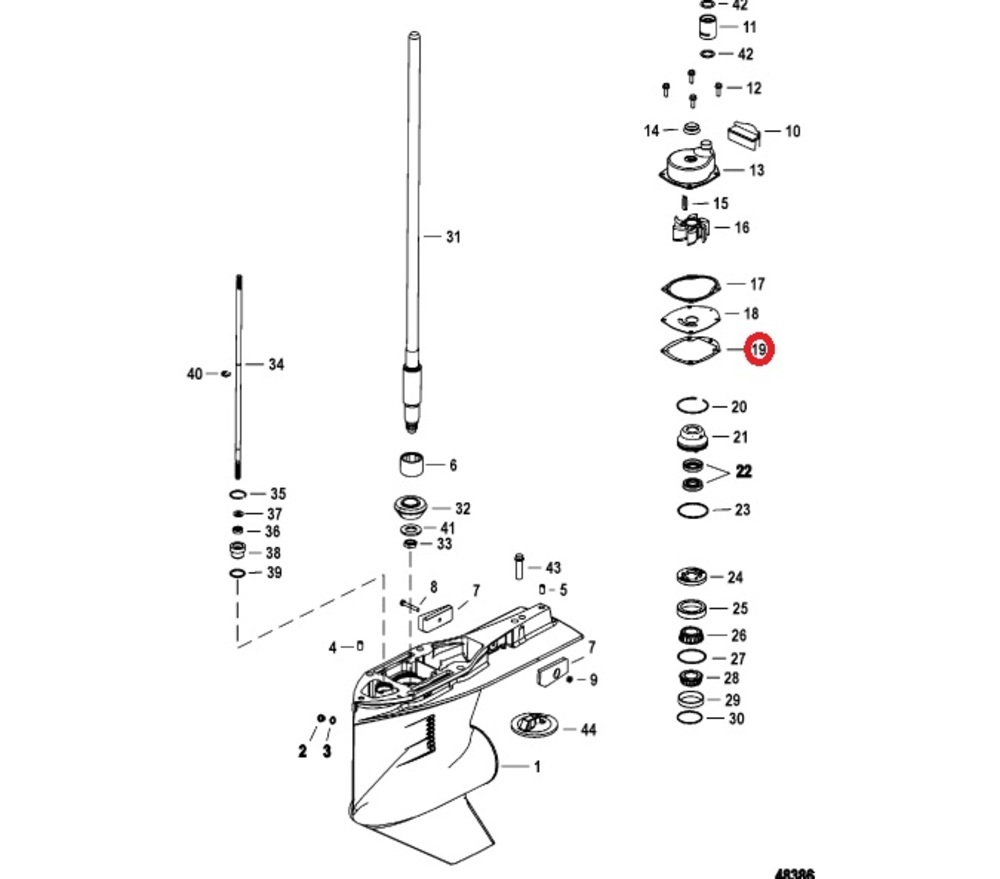 GASKET W/P LOWER